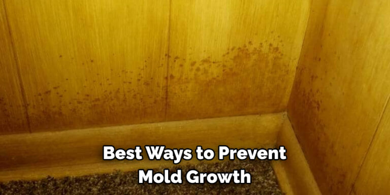 How To Prevent Mold In Kitchen Cabinets 10 Smart Ways   Best Ways To Prevent Mold Growth 768x384 