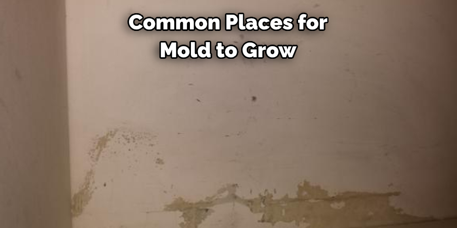 Common Places for Mold to Grow