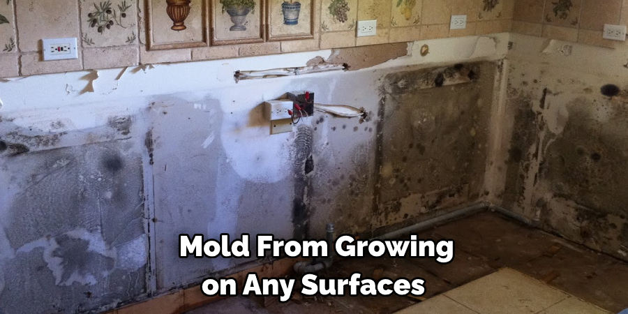  Mold From Growing on Any Surfaces