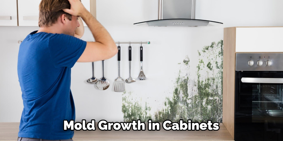 Mold Growth in Cabinets