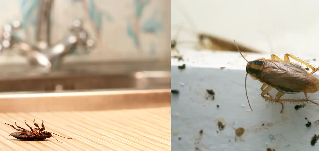 How To Get Rid Of Roaches In Kitchen Cabinets 
