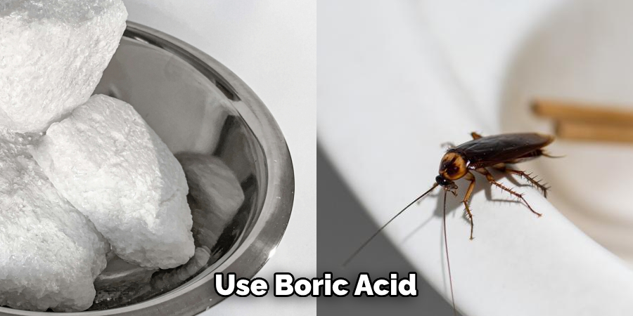 How To Get Rid Of Roaches In Kitchen Cabinets 8 Ways 2022