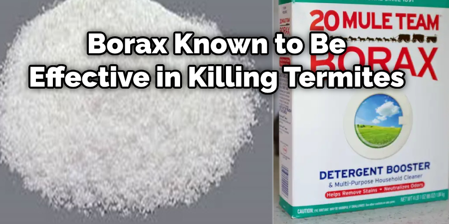How to Get Rid of Termites in Kitchen Cabinets | 6 Reasons