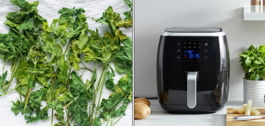 How to Dry Parsley in Air Fryer