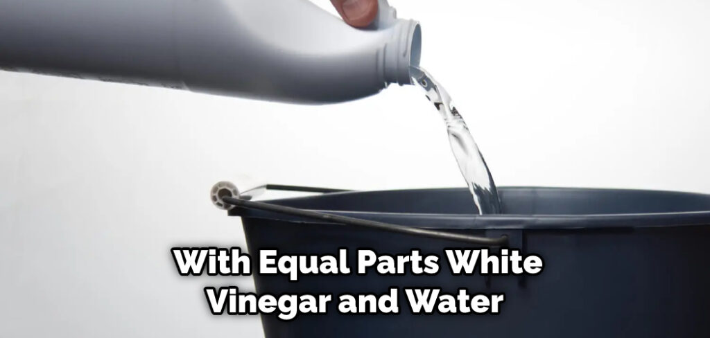  With Equal Parts White Vinegar and Water