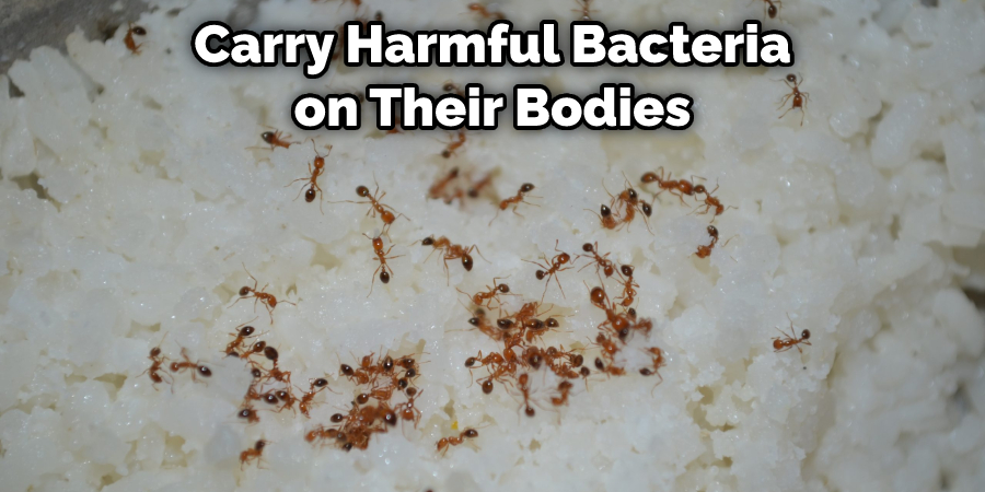 Carry Harmful Bacteria on Their Bodies