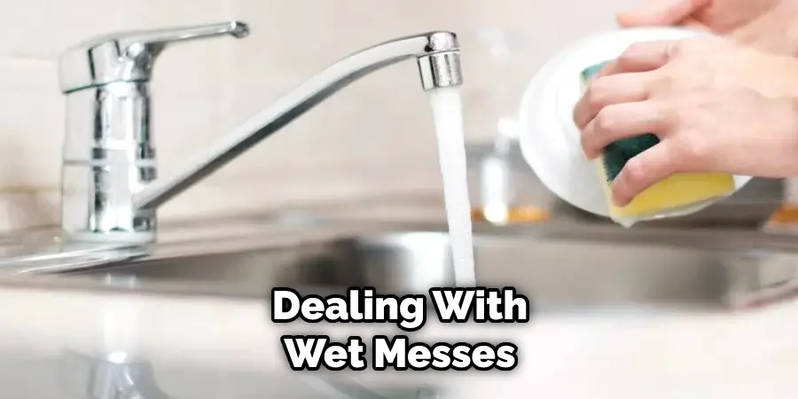 Dealing With Wet Messes