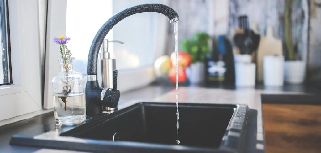 disinfect kitchen sink bleach