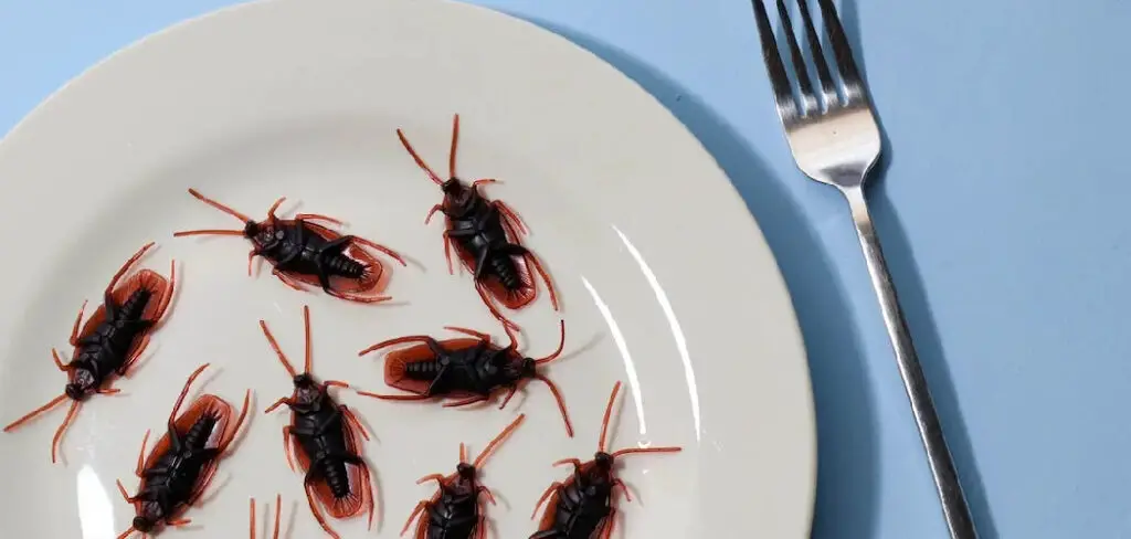 How to Get Rid of Roach Smell in Kitchen