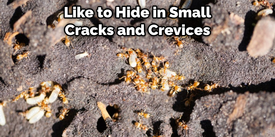 Like to Hide in Small Cracks and Crevices