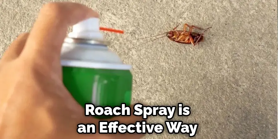 Roach Spray is an Effective Way