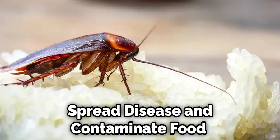  Spread Disease and Contaminate Food