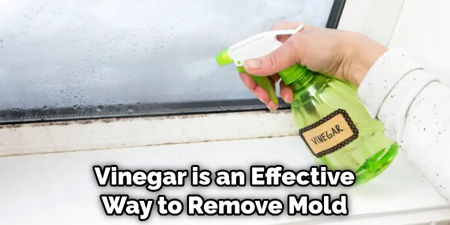 Vinegar is an Effective Way to Remove Mold