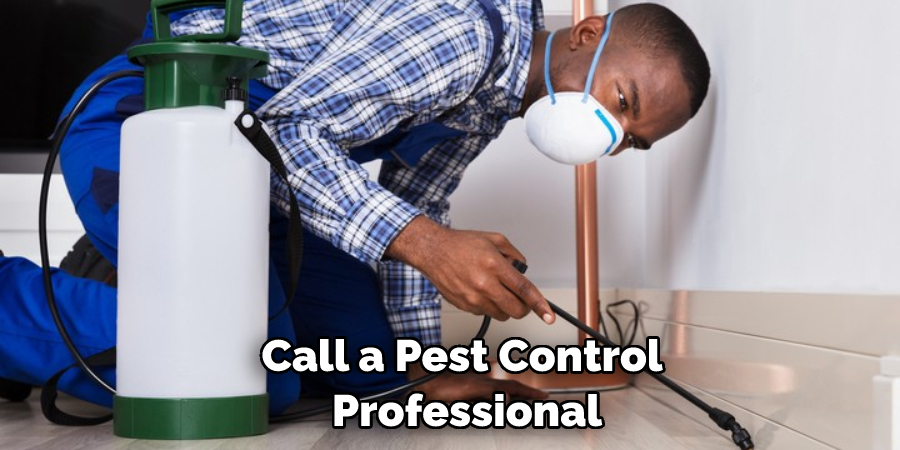 Call a Pest Control Professional