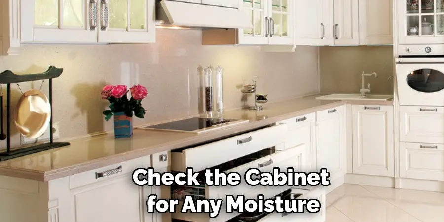 Check the Cabinet for Any Moisture