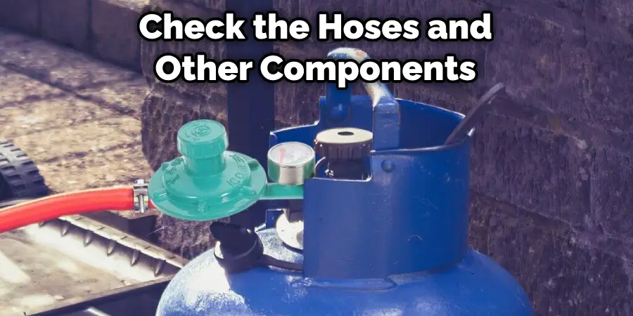 Check the Hoses and Other Components
