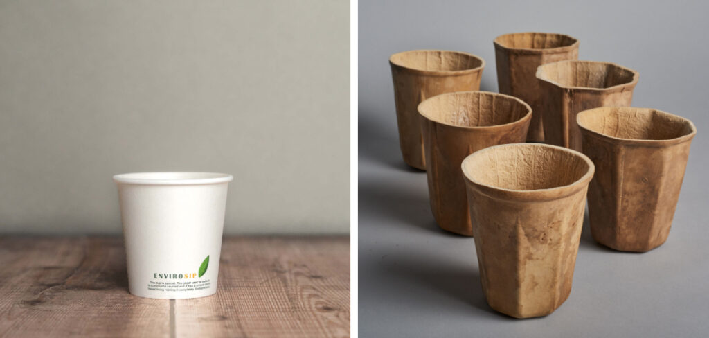 Best Compostable Cups