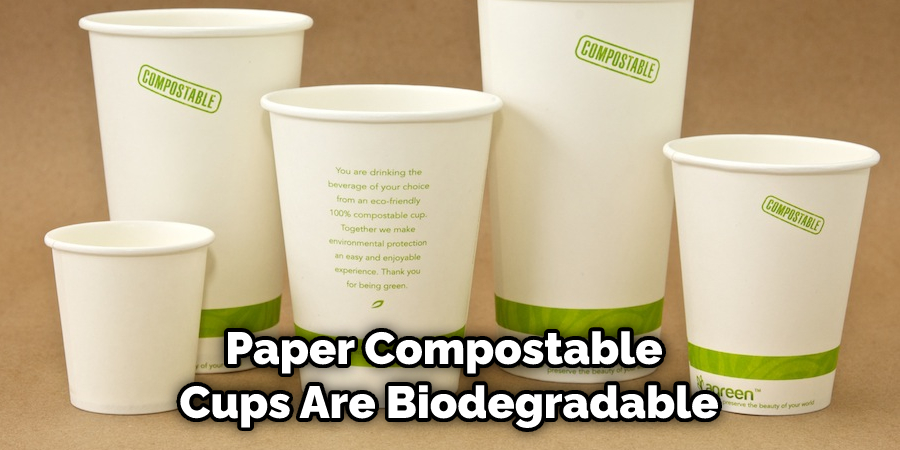 Paper Compostable Cups Are Biodegradable