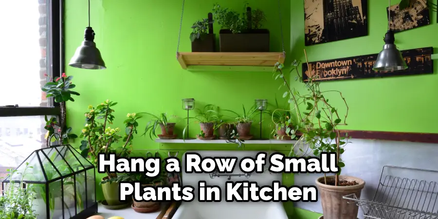Hang a Row of Small Plants in Kitchen
