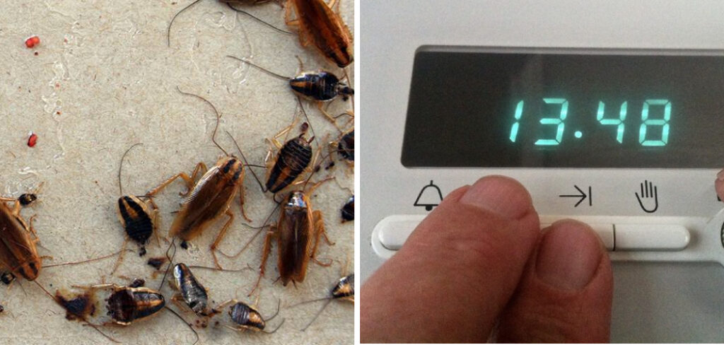 How to Get Rid of Roaches in Stove Clock