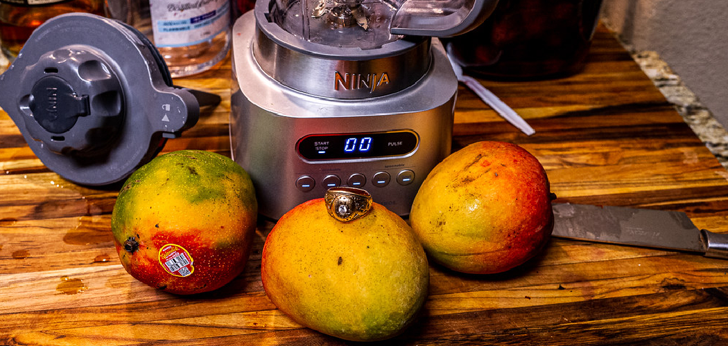 How to Make Ninja Blender Quieter 10 Useful Methods (2024)