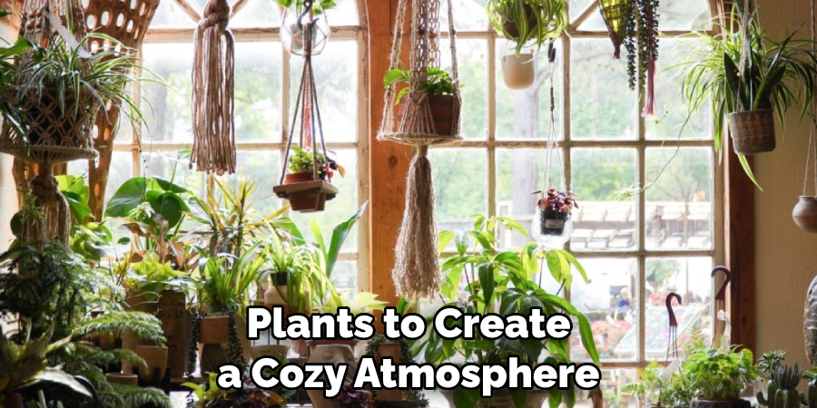 Plants to Create a Cozy Atmosphere