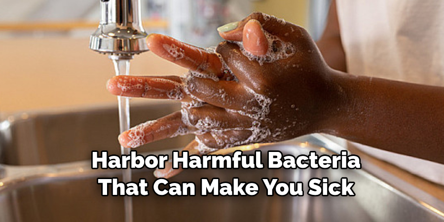 Harbor Harmful Bacteria That Can Make You Sick