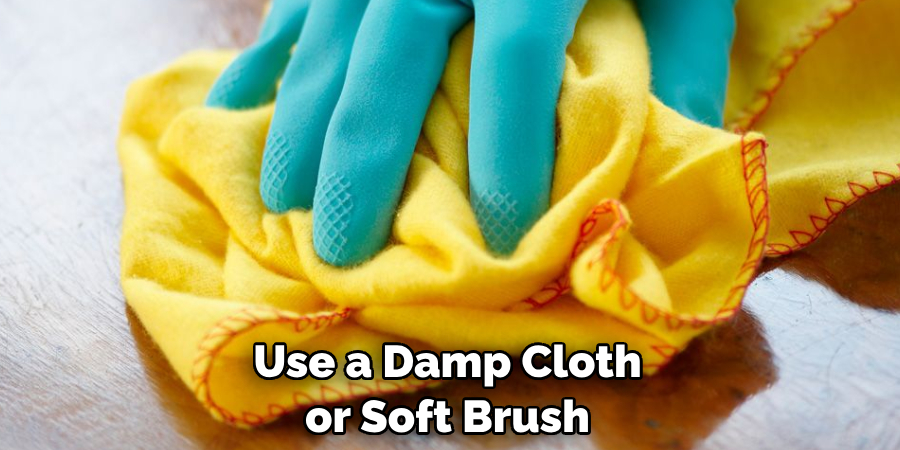 Use a Damp Cloth or Soft Brush