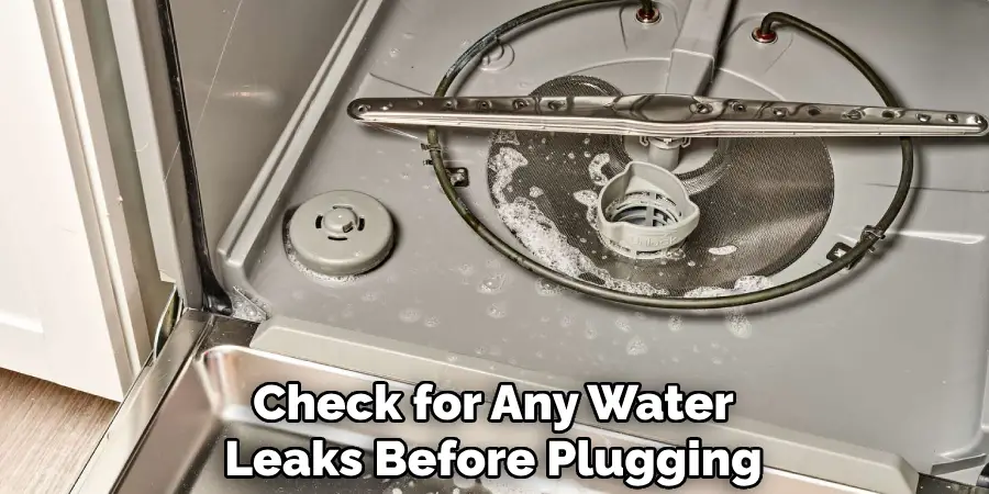 Check for Any Water Leaks Before Plugging