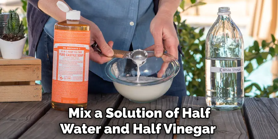 Mix a Solution of Half Water and Half Vinegar 