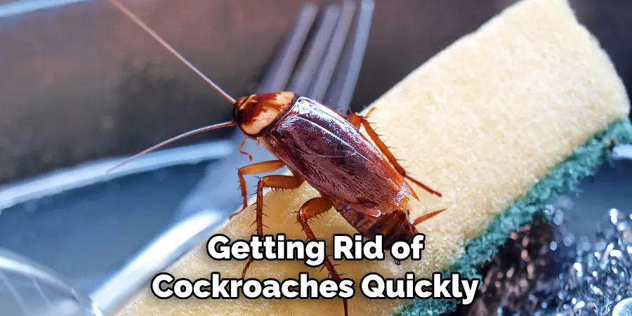 Getting Rid of Cockroaches Quickly