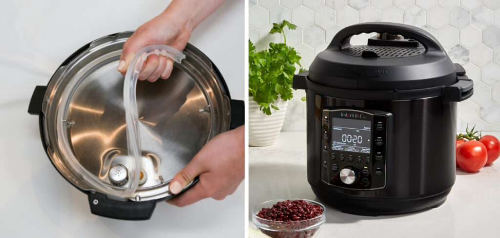 Instant pot duo plus sealing online ring