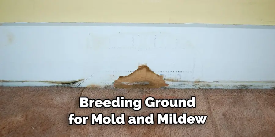  Breeding Ground for Mold and Mildew