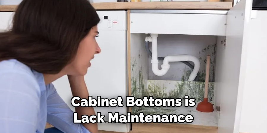  Cabinet Bottoms is Lack Maintenance