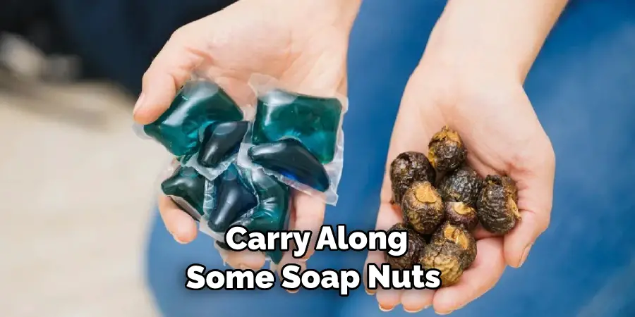  Carry Along Some Soap Nuts 