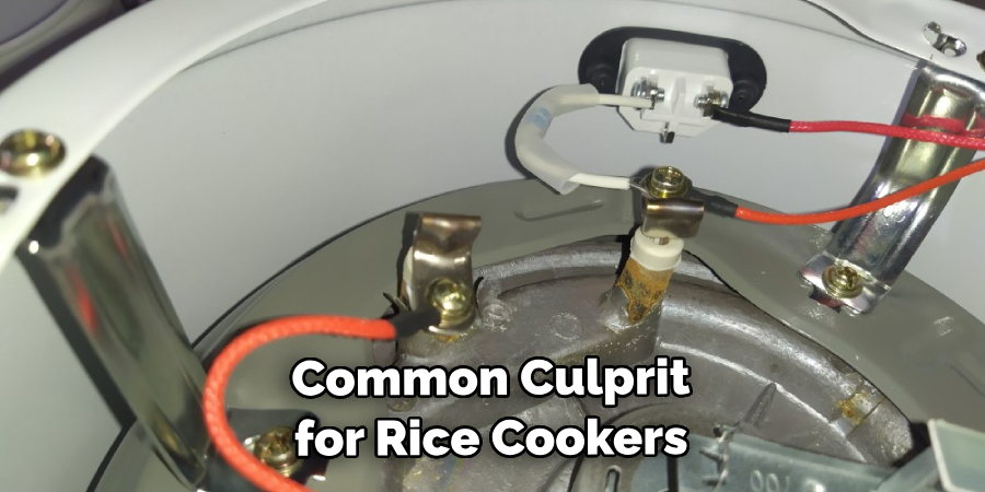 Common Culprit for Rice Cookers