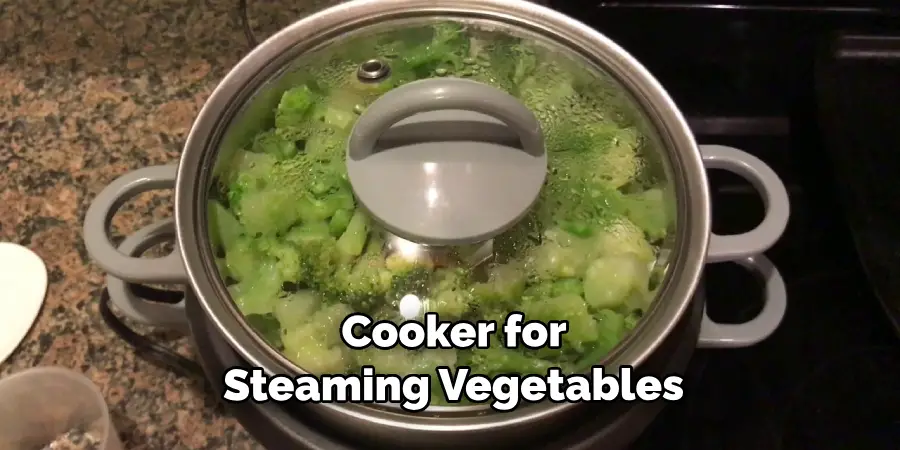  Cooker for Steaming Vegetables