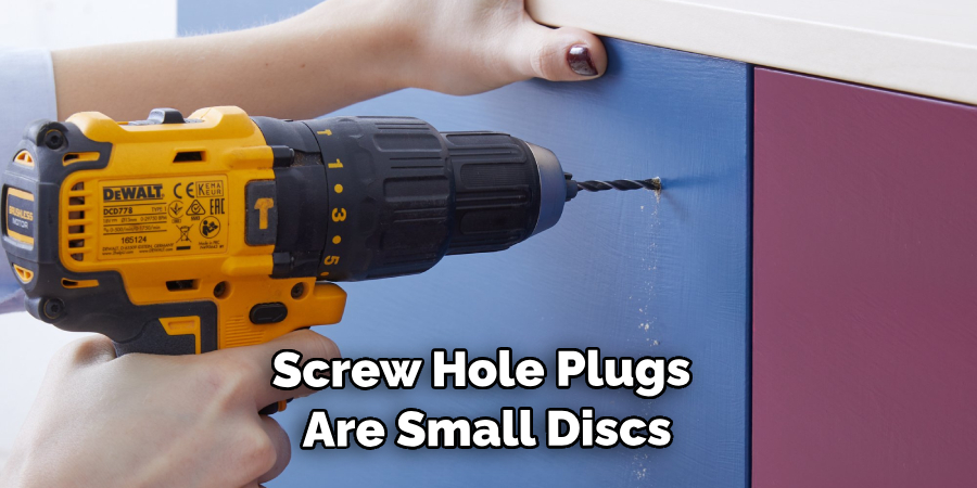 Screw Hole Plugs Are Small Discs