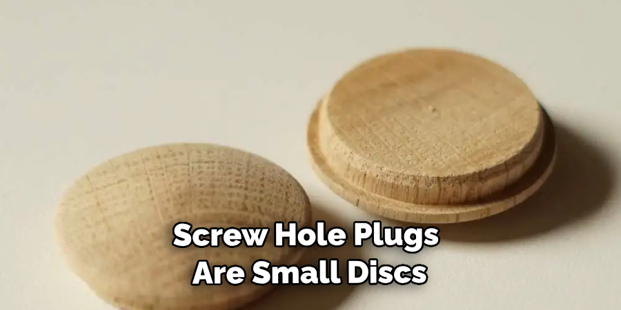 Screw Hole Plugs Are Small Discs