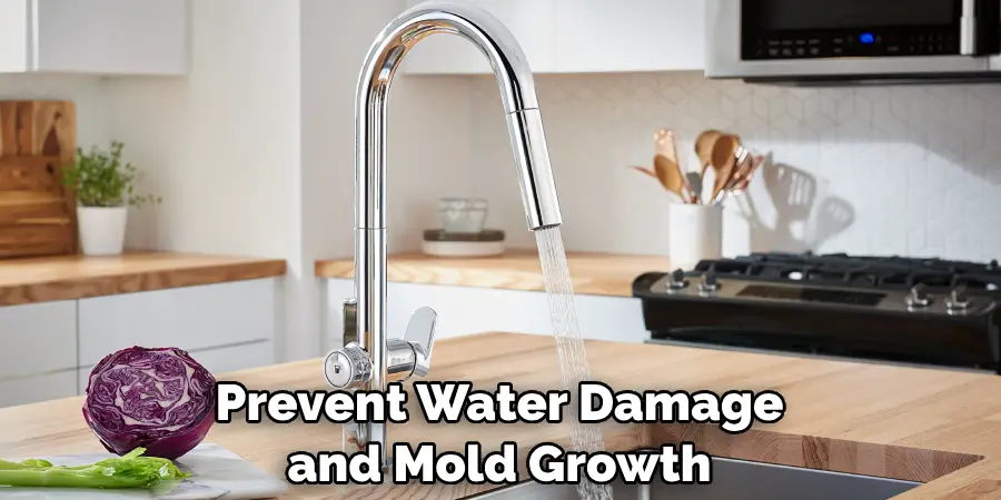 Prevent Water Damage and Mold Growth