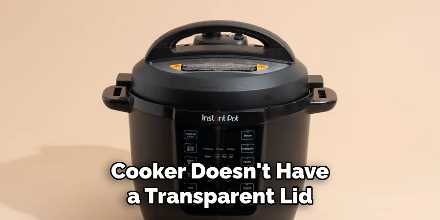 Cooker Doesn't Have a Transparent Lid