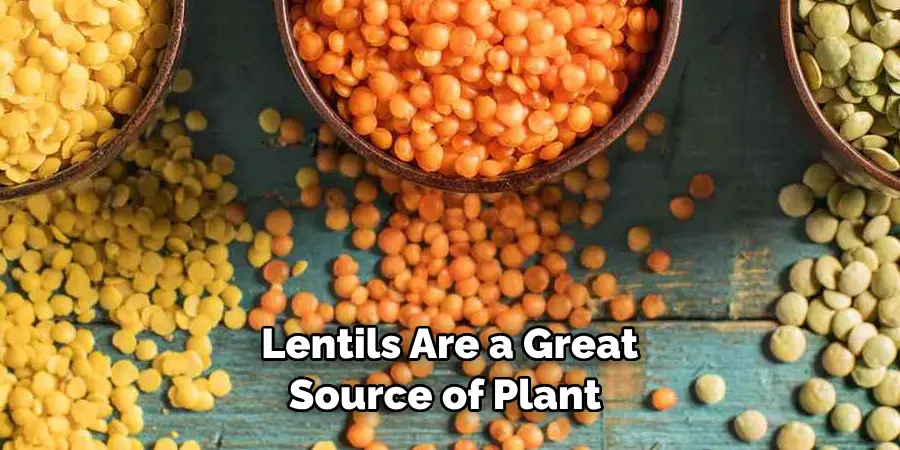 Lentils Are a Great Source of Plant