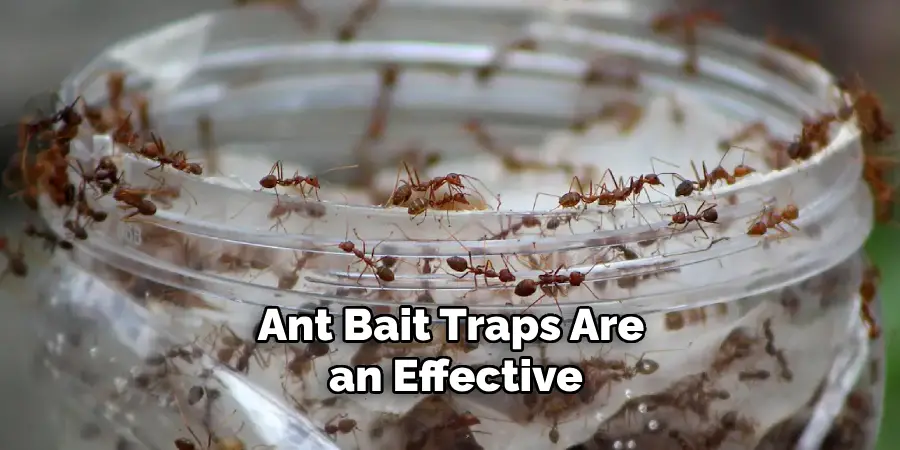 Ant Bait Traps Are an Effective