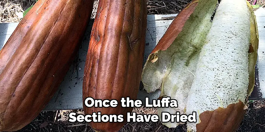 Once the Luffa Sections Have Dried