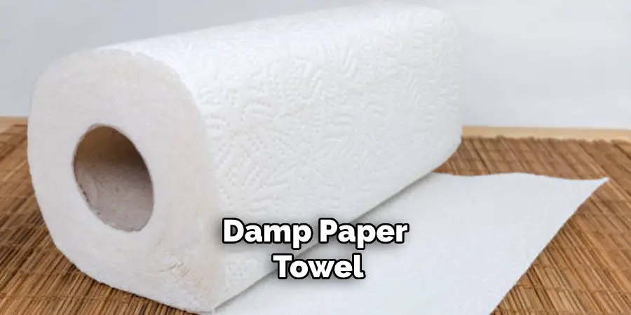 Damp Paper Towel