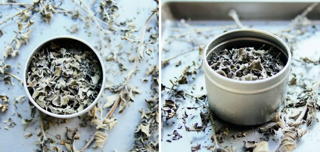 How to Dry Oregano in the Oven