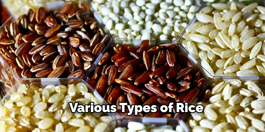  Various Types of Rice