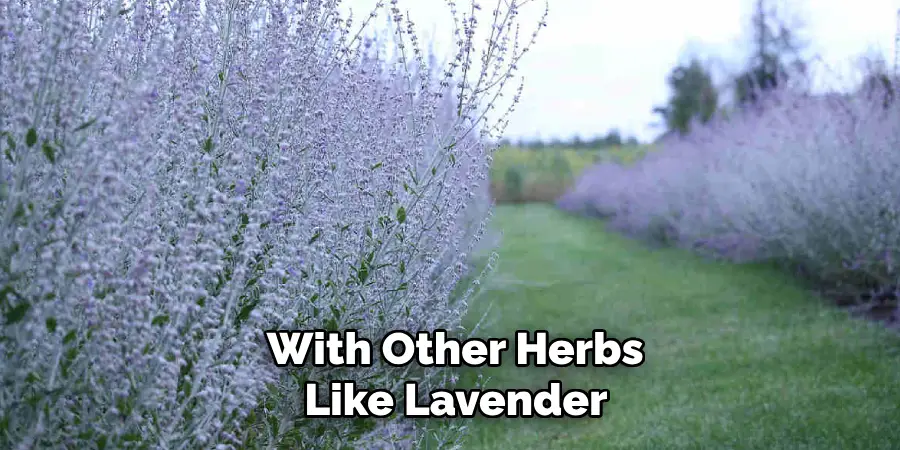 With Other Herbs Like Lavender