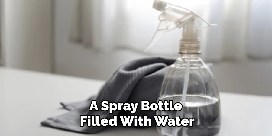 A Spray Bottle 
Filled With Water