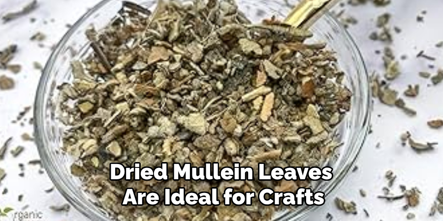 Dried Mullein Leaves 
Are Ideal for Crafts